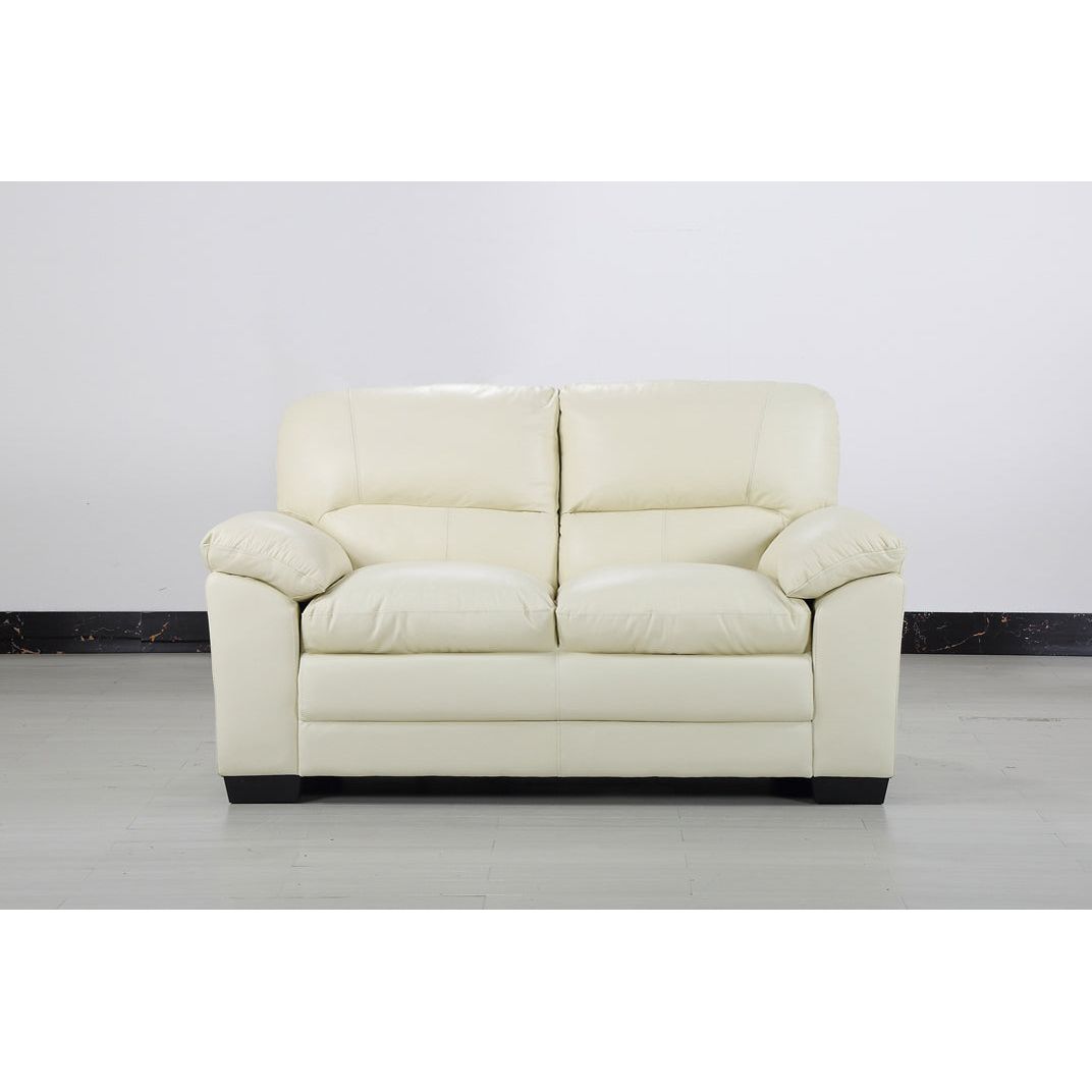 Ashlon 2 Seater Leather Sofa