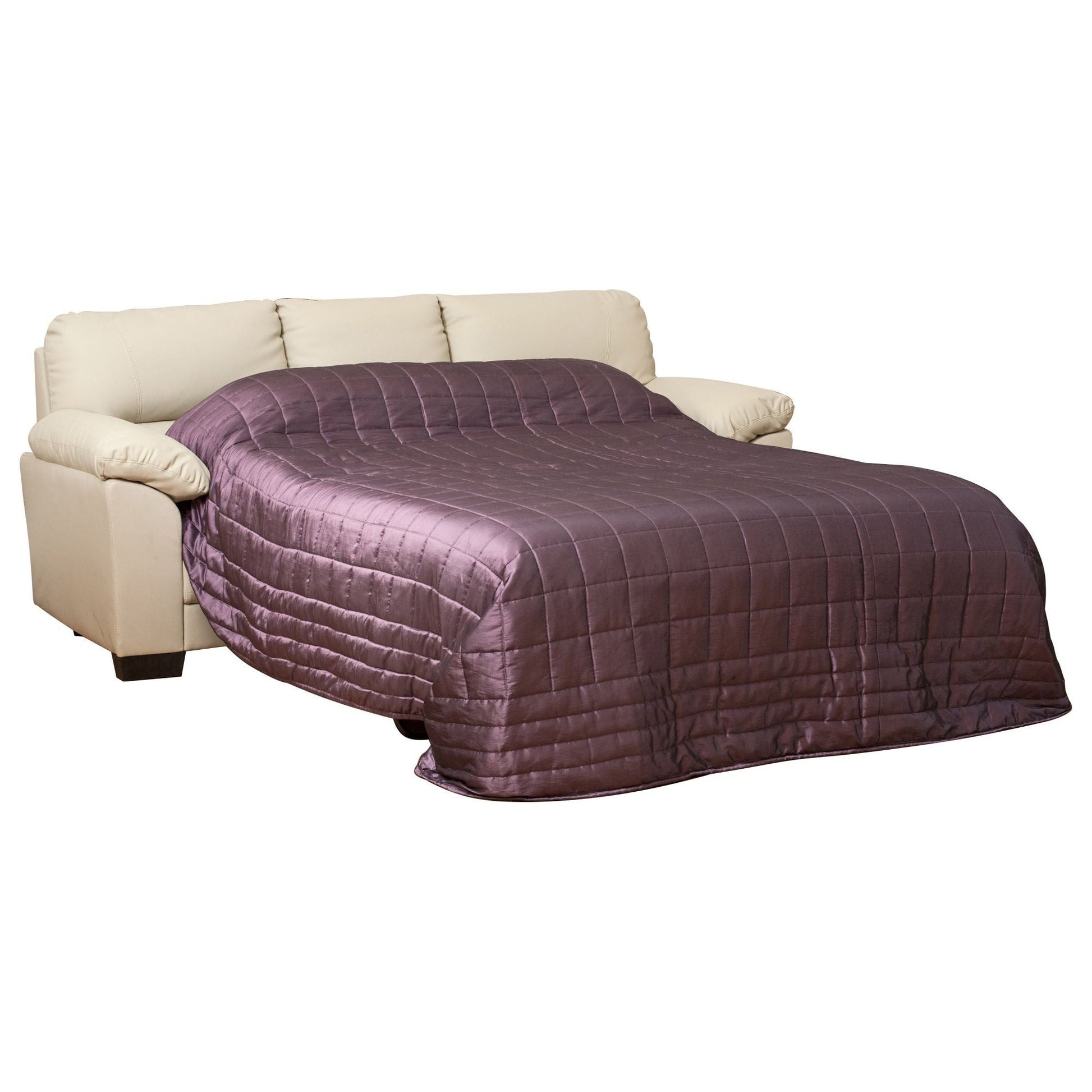 Ashlon Leather Sofa Bed - Sofa & Living